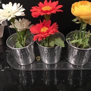 Meet your Posher, Audrey